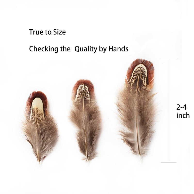HAPPY FEATHER 100 pcs Natural Pheasant Plumage Feathers 2-3 Inches Plumage Feathers for Sewing Crafts Clothing Decorating Accessories -Nature - Image 5